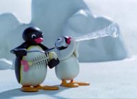 Pingu - Musikalische Talente
