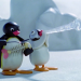 Pingu - Musikalische Talente