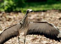 Hotspots der Tierwelt