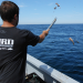 Wicked Tuna - Die Hochsee-Cowboys