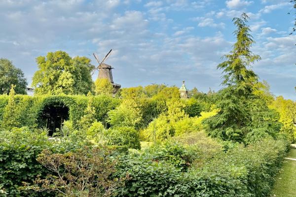 Bild 1 von 5: Üppige Gartenpracht im Schlosspark von Sasnsouci.