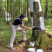 Aus Liebe zum Spessart
