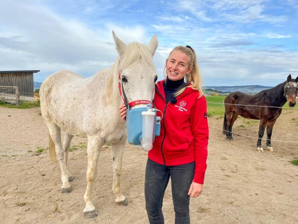 Bild 1 von 8: Im Bild: Schmerzbehandlung bei Pferden Michaela Fercher behandelt Diva.