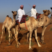 Abenteuer Oman