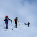Peter Baumeister: Die Ski Transalp