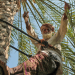 Märchenhafter Oman