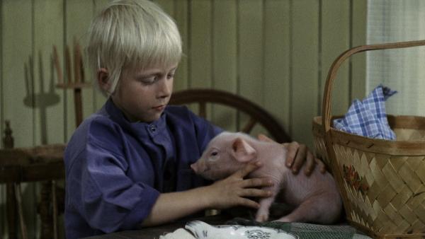 Bild 1 von 6: Michel (Jan Ohlsson) hat beschlossen, das kleine Schweinchen zu dressieren.