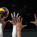 Volleyball Live - Bundesliga