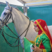 Unbekanntes Arabien