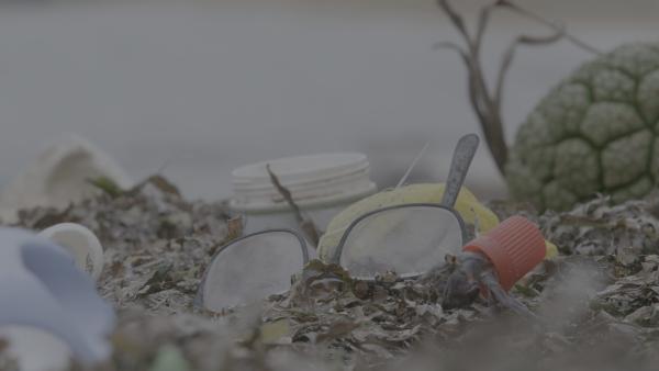 Bild 1 von 5: Ein Einsiedlerkrebs macht sich die Umweltverschmutzung zunutze und zieht in einen Flaschenverschluss.