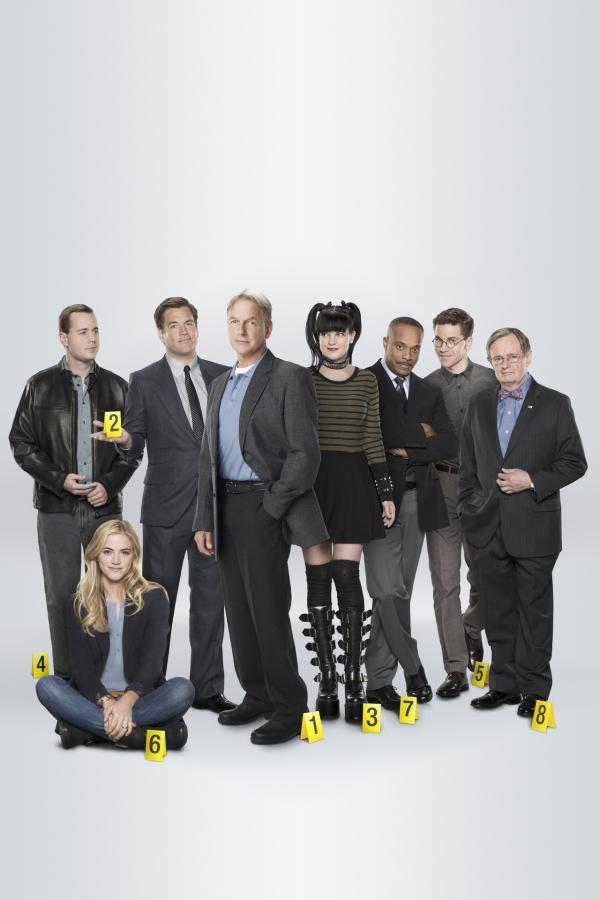 Bild 1 von 12: (13. Staffel) - Die Mitglieder des Naval Criminal Investigation Service: Abby (Pauley Perrette, 4.v.r.), Ducky (David McCallum, r.), Gibbs (Mark Harmon, 4.v.l.), Leon (Rocky Carroll, 3.v.r.), DiNozzo (Michael Weatherly, 3.v.l.), McGee (Sean Murray, l.), Jimmy (Brian Dietzen, 2.v.r.) und Ellie (Emily Wickersham, 2.v.l.) ...