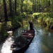 Der Spreewald von oben