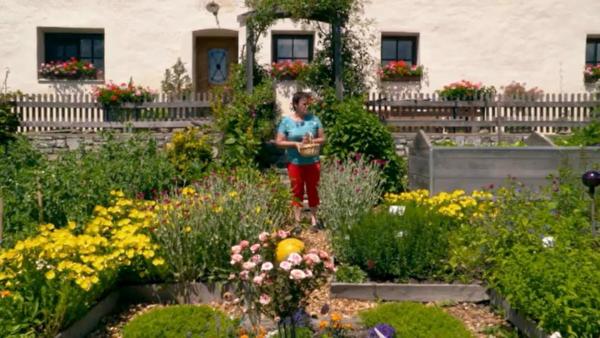 Bild 1 von 4: Im Bild: Gartenbesitzerin Elisabeth Reichl.