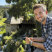 Travel like a local: Kroatien