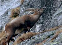 Sagenhafte Extremkletterer