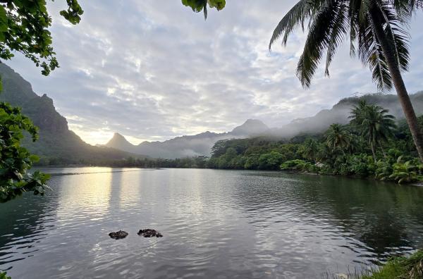 Bild 1 von 2: Die Baie d'Opunohu ist eine von zwei langen Buchten, die bis ins Landesinnere der Vulkaninsel Moorea reichen.