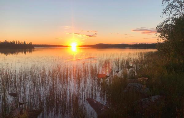 Bild 1 von 5: Blick auf die Region Muonio (Lappland).