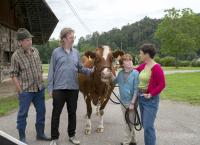 Tiere bis unters Dach