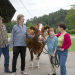 Tiere bis unters Dach