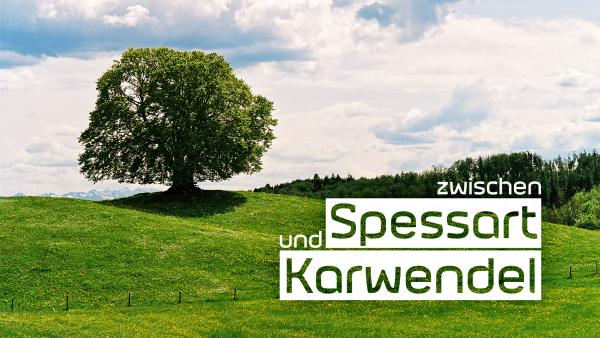 Bild 1 von 3: Key Visual Sendereihenbild mit Typo zu \