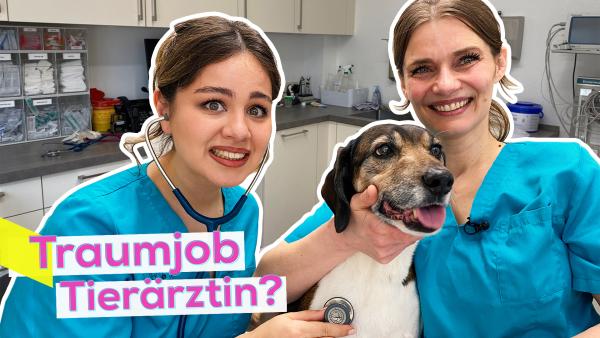 Bild 1 von 1: Sarah macht Praktikum bei einer Tierärztin.