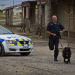 Hunde im Einsatz