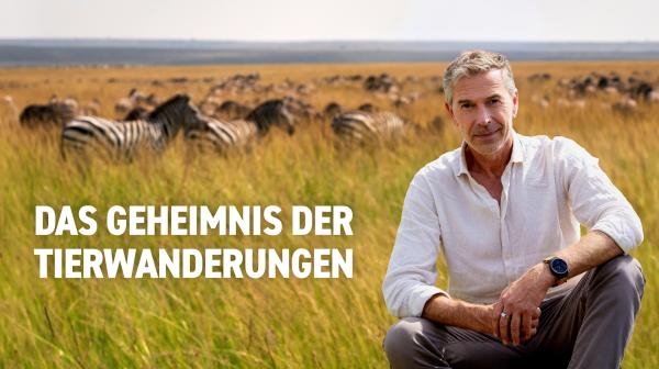Bild 1 von 8: 