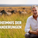 Das Geheimnis der Tierwanderungen mit Dirk Steffens