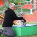 Cesar Millan: Better Human Better Dog - Bessere Menschen, bessere Hunde