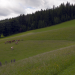 Leben in den Fischbacher Alpen