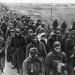Der Zweite Weltkrieg