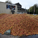 Bild 16