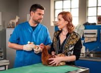 Die Fallers - Die SWR Schwarzwaldserie