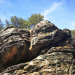 Expedition in die Heimat