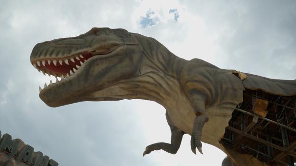 Bild 1 von 4: Sendungsbild