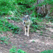 Abenteuer Wildnis