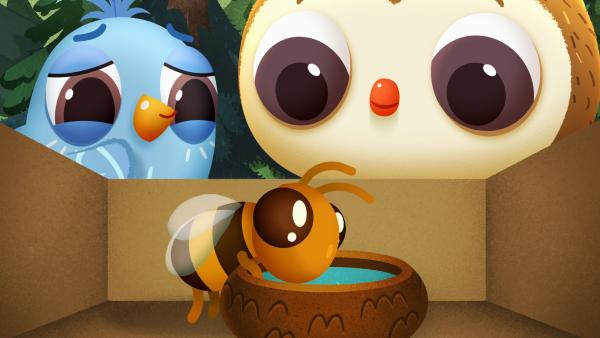 Bild 1 von 1: Doodle und Odo bestaunen die kleine Biene, die sie gerettet haben.