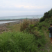 Bild 13