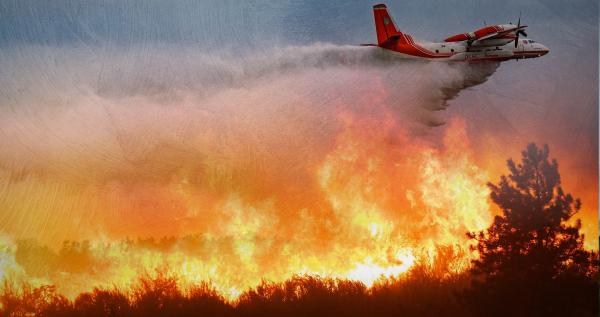 Bild 1 von 2: Die Taiga: das größte Waldgebiet der Erde und wertvoller Sauerstofflieferant. Ein Öko-System in Not: Erderwärmung und der Abbau von Rohstoffen zerstören riesige Flächen.