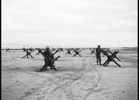 100 Tage - Meilensteine der Zeitgeschichte