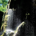 Abenteuer Wildnis