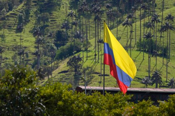 Bild 1 von 3: Das Valle de Cocora liegt auf 2.500 Meter Höhe in der Region Quindío im Herzen der Anden und ist berühmt für seine beeindruckenden Wachspalmen.