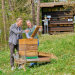 Bild 13