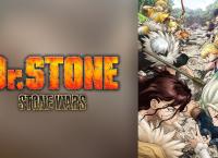 Dr. Stone