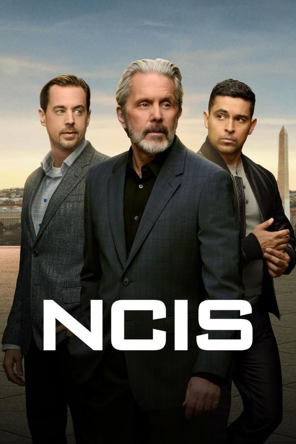 Bild 1 von 16: (23. Staffel) - NAVY CIS - Artwork