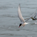 Abenteuer Wildnis