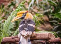 Zoo und so - Tierisch wild!