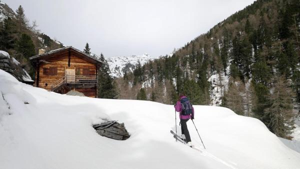 Bild 1 von 8: Im Bild: Skitourengeher in der Winterlandschaft der Zirknitz.