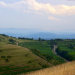 odysso extra Spuren im Stein - Der Kaiserstuhl
