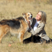 Darling Companion - Ein Hund fürs Leben